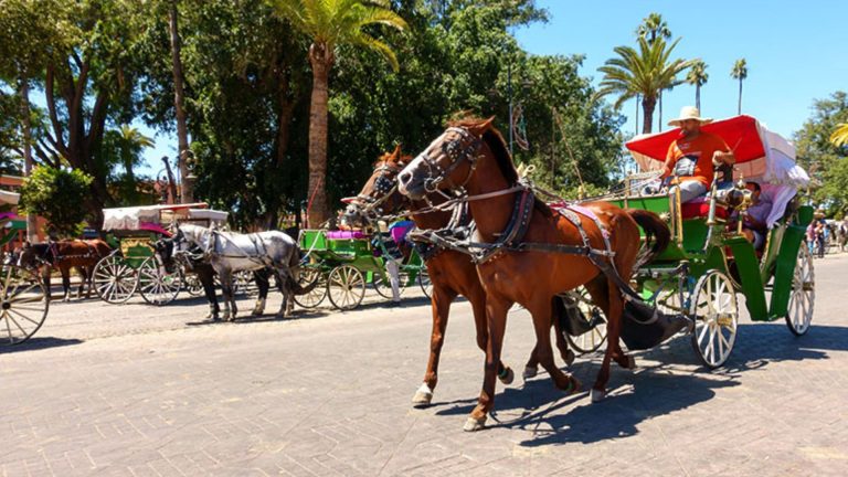 Culture of the CAN 2025 Host Country Explained