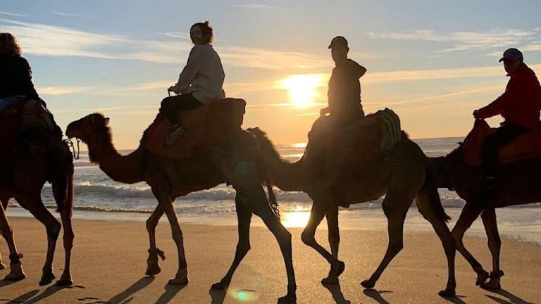 Things to do in Agadir alone a solo traveler’s guide