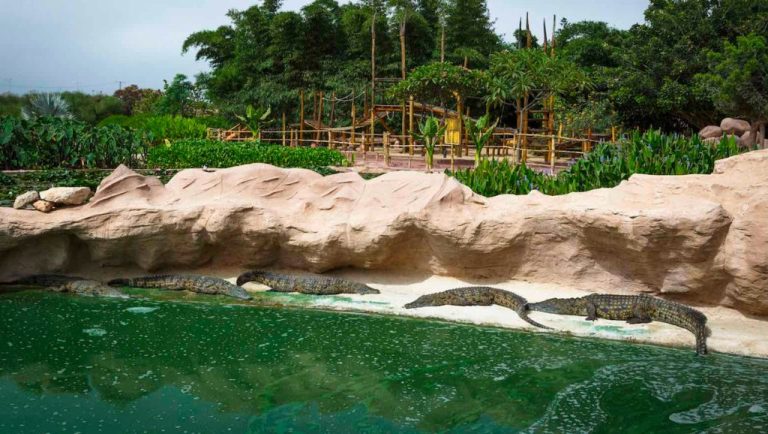 Local life in Agadir : neighborhoods, markets, and daily rhythm