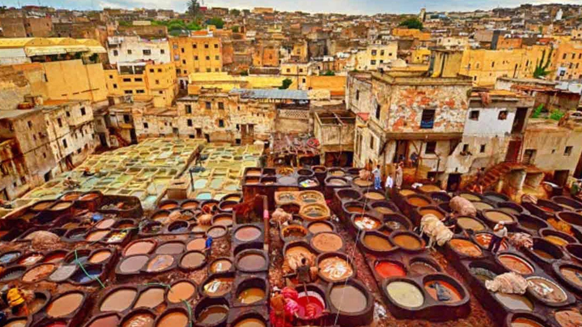 An aerial view of the historic Chouara Tannery in Fes’ medina, with dozens of stone dyeing vats filled with natural pigments indigo, saffron, henna, and madder and workers immersed in the slow alchemy of color, surrounded by sun-dried hides on rooftops. No tourists, no modern intrusions just earth, fire, and the quiet rhythm of a living tradition.